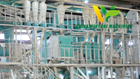 High Quality Corn Semolina Making Machine